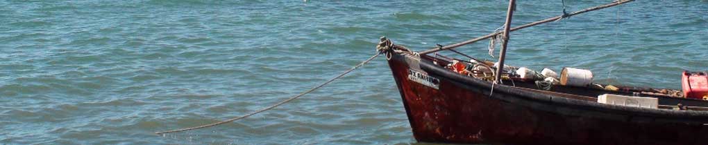 Banner - bote
