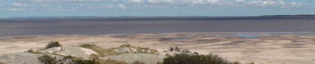 Banner - laguna