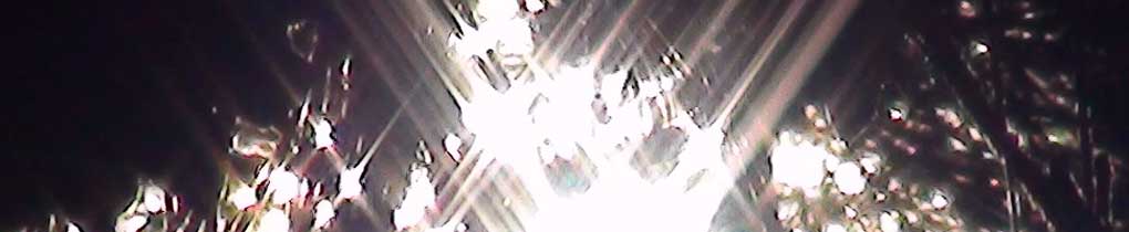 Banner - ramas-luz