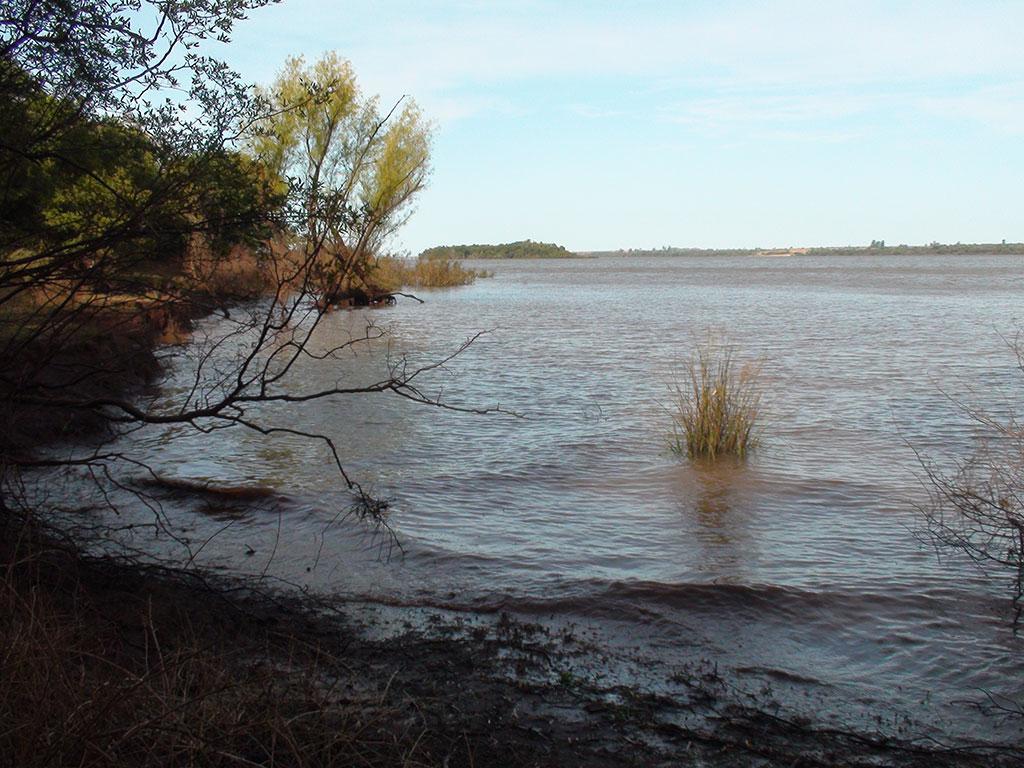 Arroyo